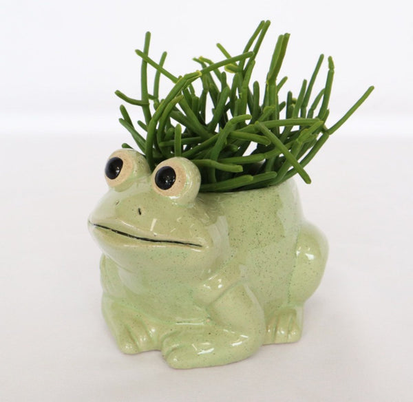 Frog Planter Light Green Small