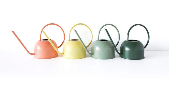 Watering Can Dorothy Forest Green