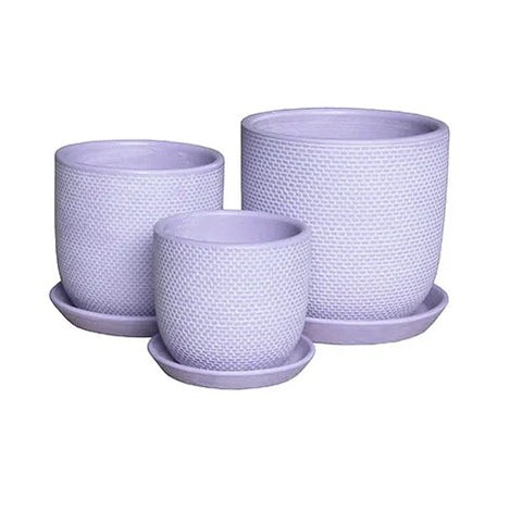 Soho Pots with Saucers - Violet - 3 sizes