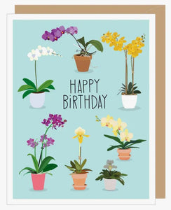 Potted Orchids Birthday Card