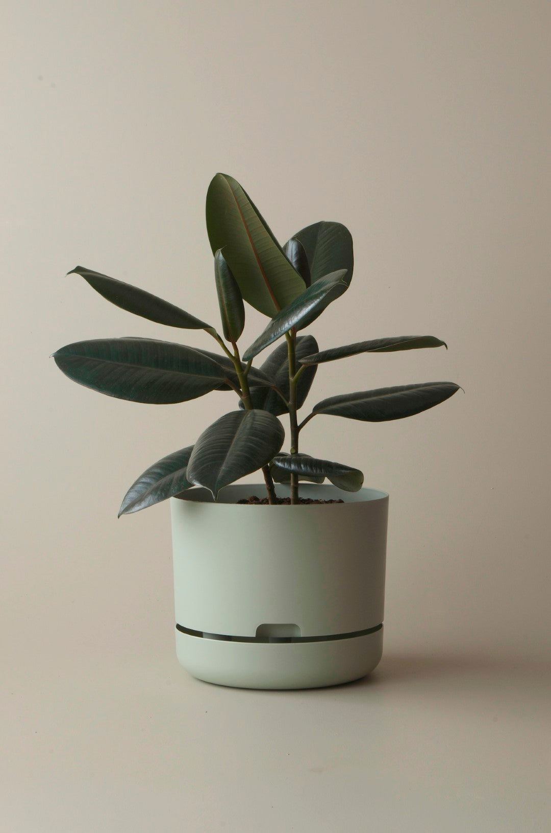 Mr Kitly Self Watering Pots - 250mm
