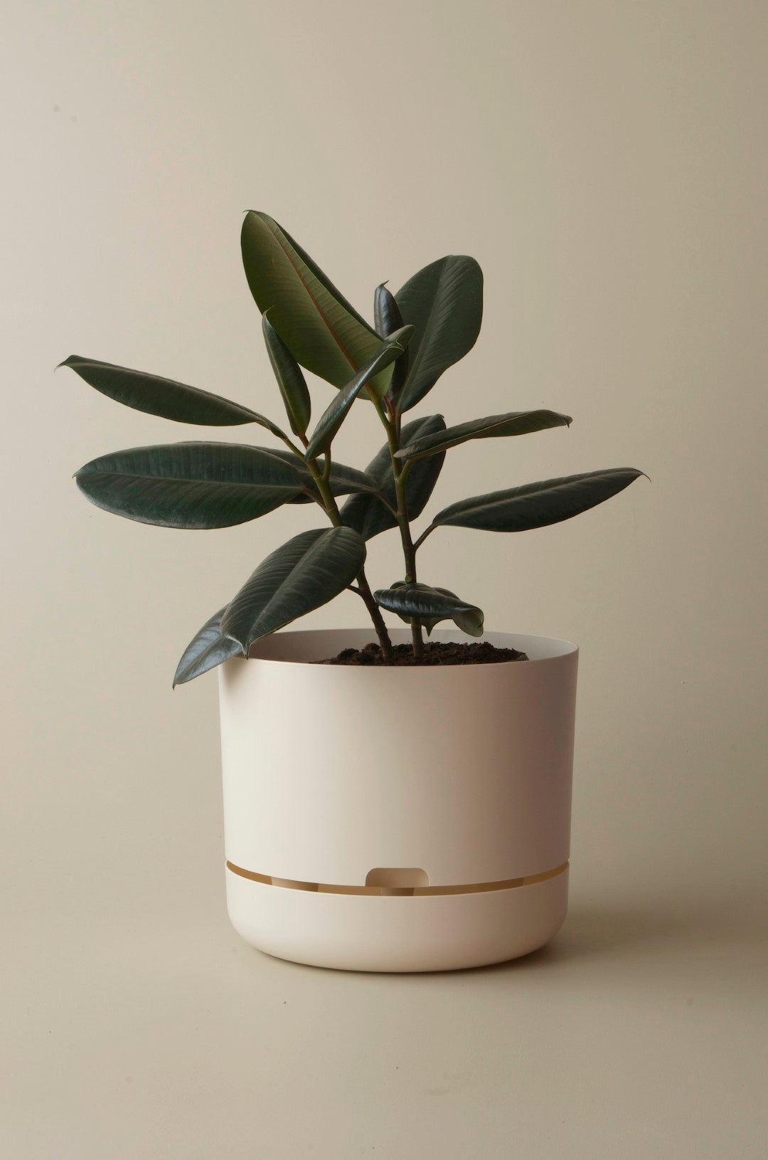 Mr Kitly Self Watering Pots - 300mm