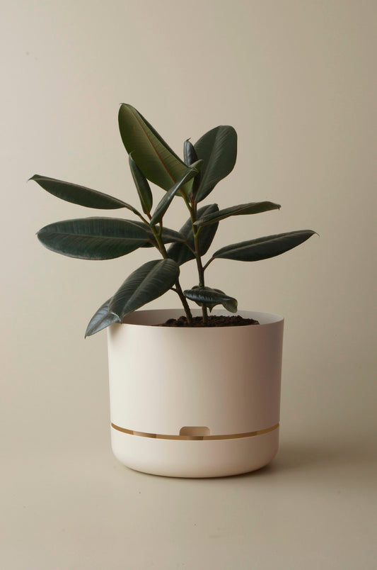 Mr Kitly Self Watering Pots - 300mm