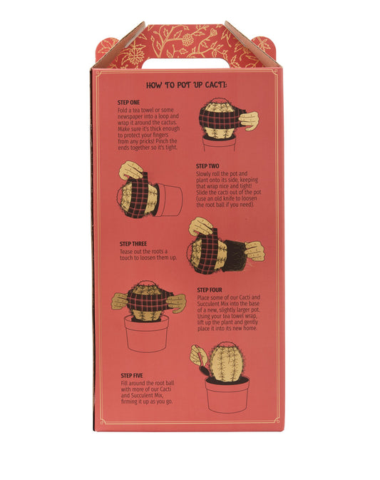 The Plant Runner - Cacti Potting Mix 7L