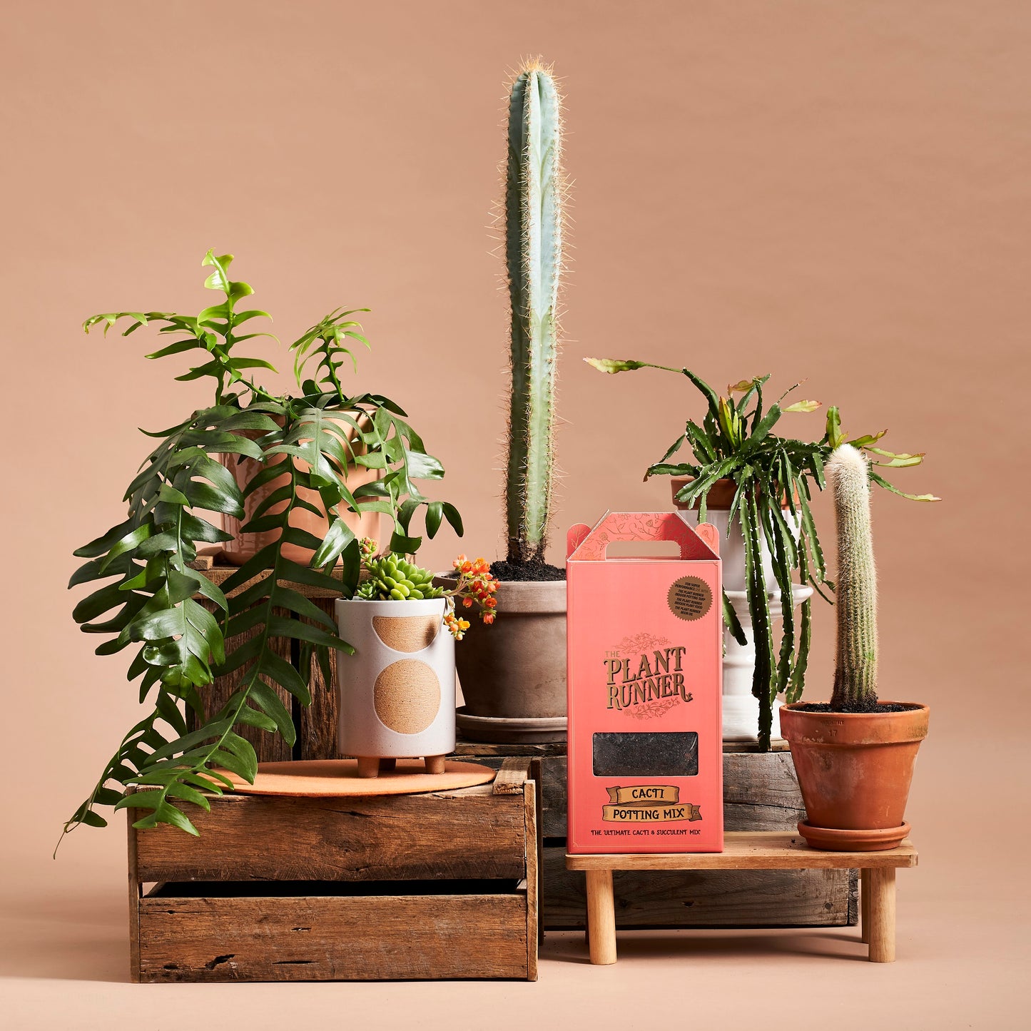 The Plant Runner - Cacti Potting Mix 7L