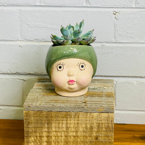 May Gibbs Gumnut Baby Head Planter