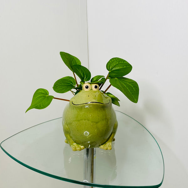 Frog Planter Green Large 16cms