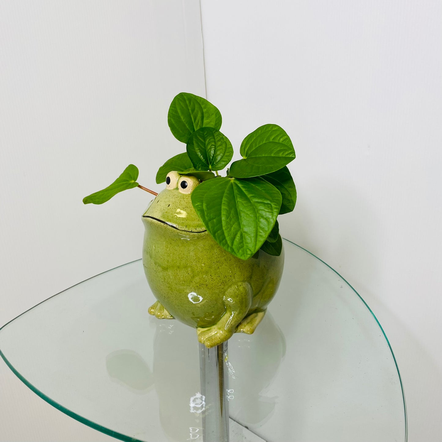 Frog Planter Green Large 16cms