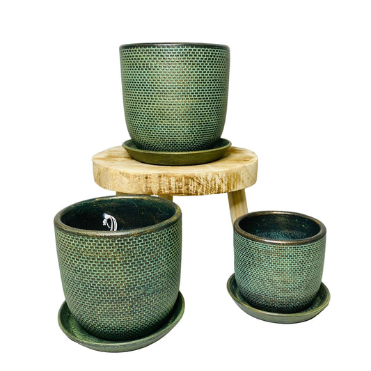 Soho Pots with Saucers - Green - 3 sizes