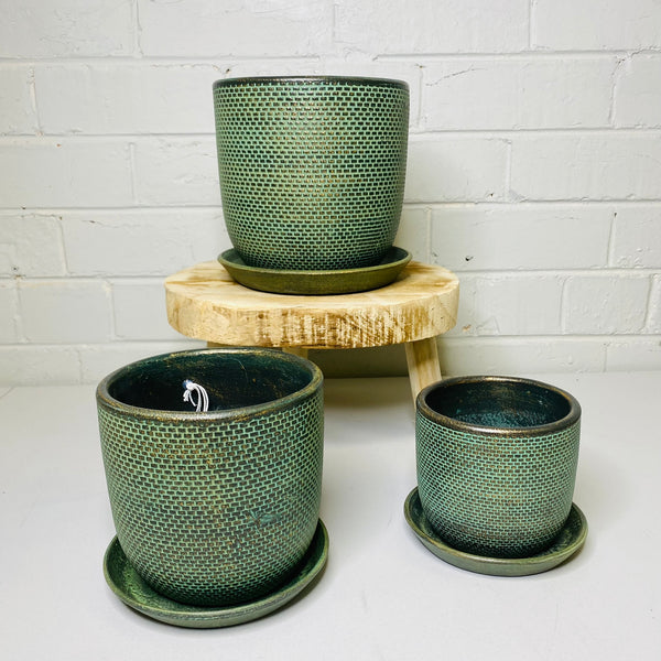 Soho Pots with Saucers - Green - 3 sizes