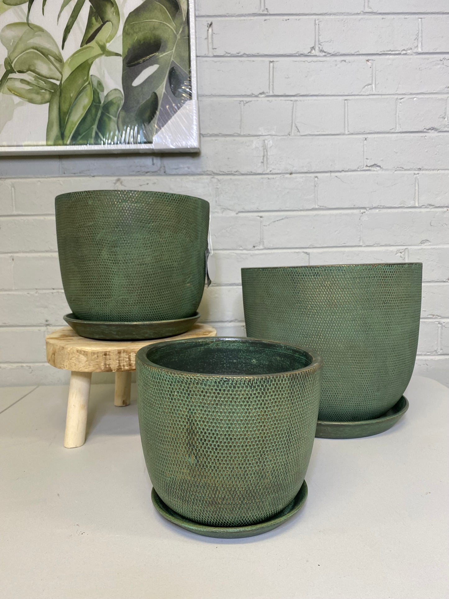 Soho Large Green Pots 3 Sizes