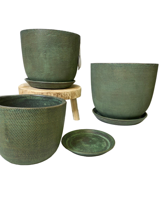 Soho Large Green Pots 3 Sizes