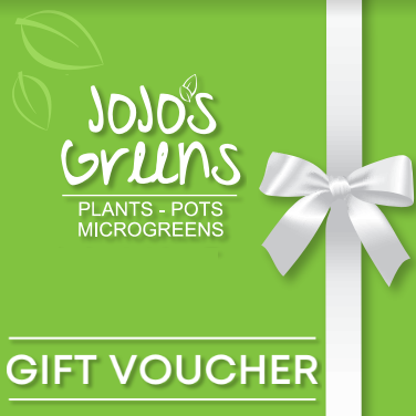 JoJo's Greens ONLINE Gift Voucher