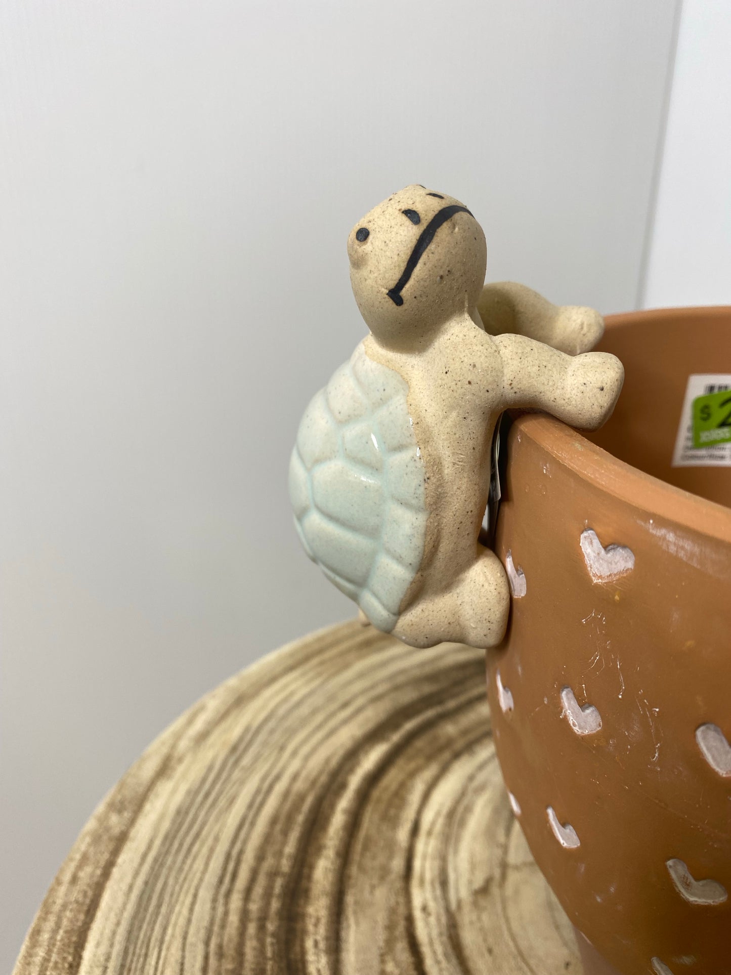 Turtle Pot Hanger